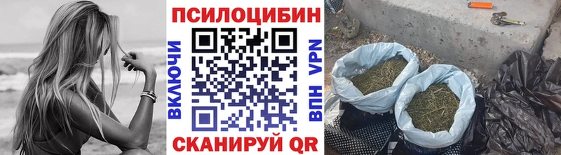 продажа наркотиков  Калязин  Псилоцибиновые грибы Magic Shrooms 